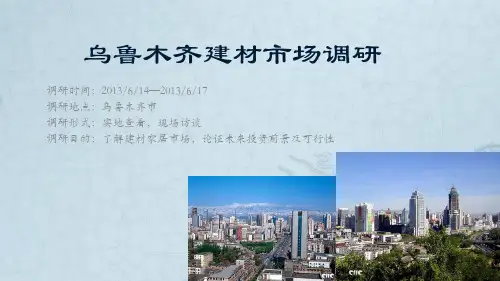 乌鲁木齐建材市场调研