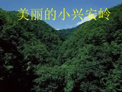 美丽的小兴安岭教学课件1