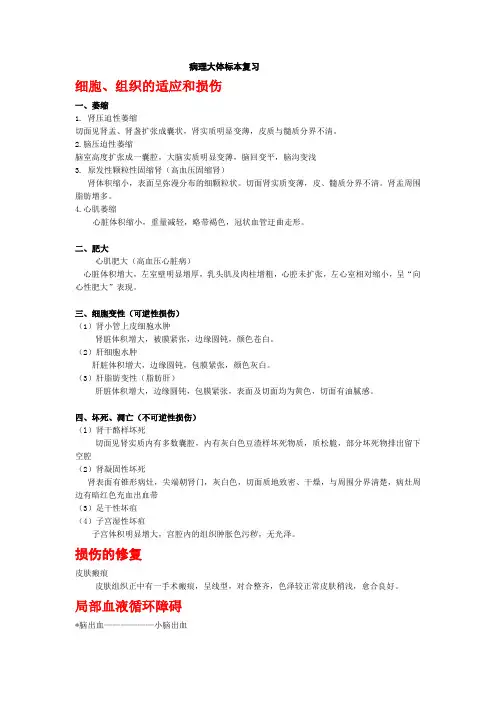 病理大体标本复习