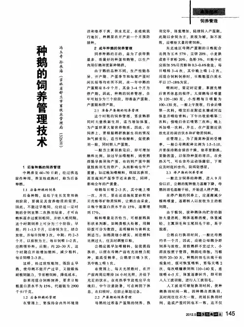 种鹅的饲养管理技术 2