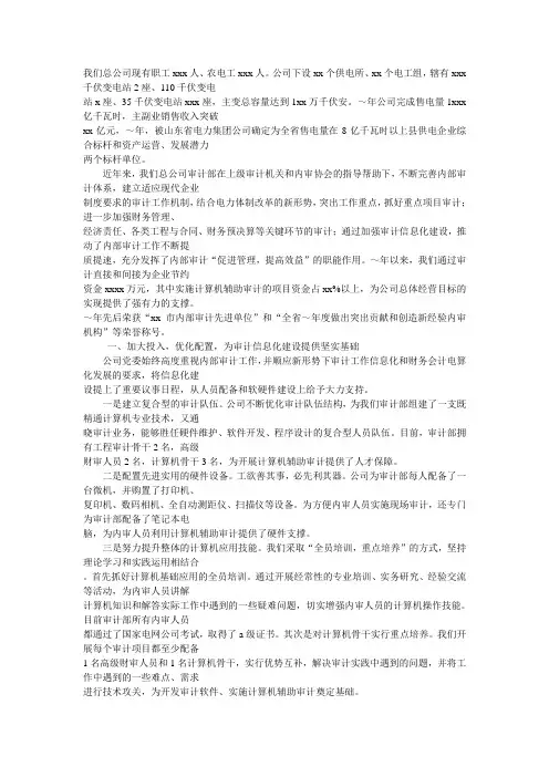 电力公司审计部工作总结 3