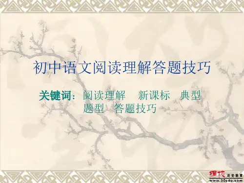 初中语文阅读理解答题技巧ppt课件
