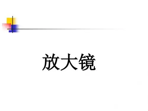 放大镜