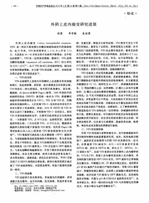 外阴上皮内瘤变研究进展
