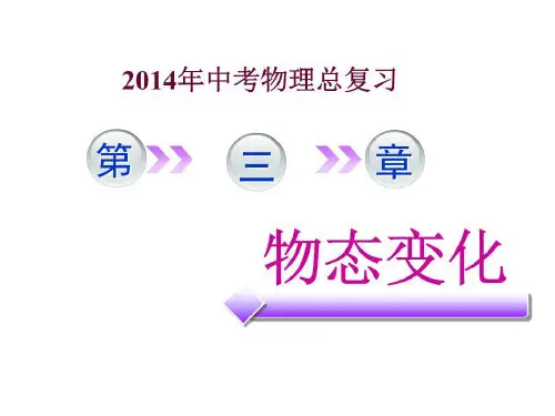 中考物理复习第三章物态变化复习