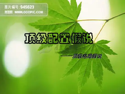 顶级配置假说