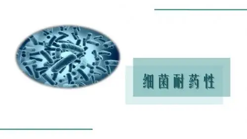 细菌耐药性