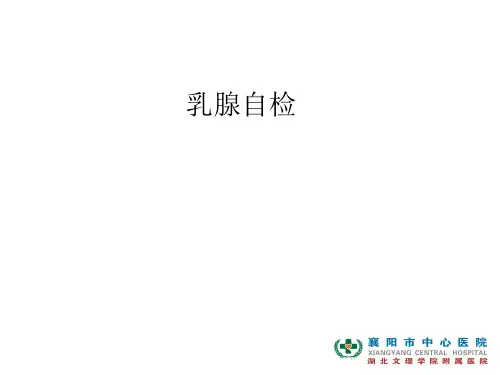 乳腺自检PPT课件
