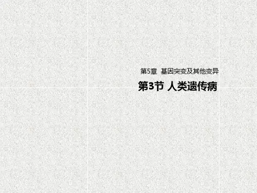 2021年高中生物新教材人教版(2019)必修二课件:5.3人类遗传病