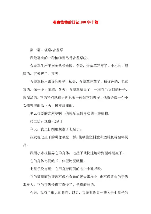 观察植物的日记100字十篇