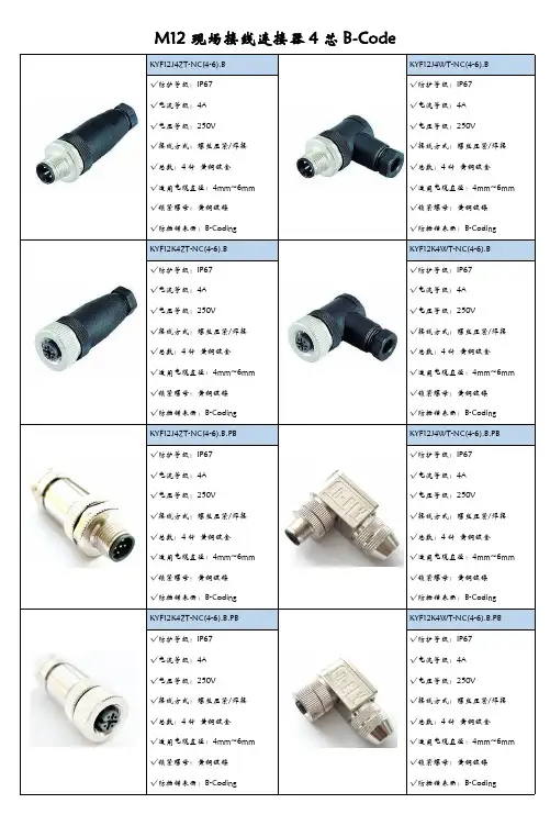 M12现场接线连接器4芯B-Code