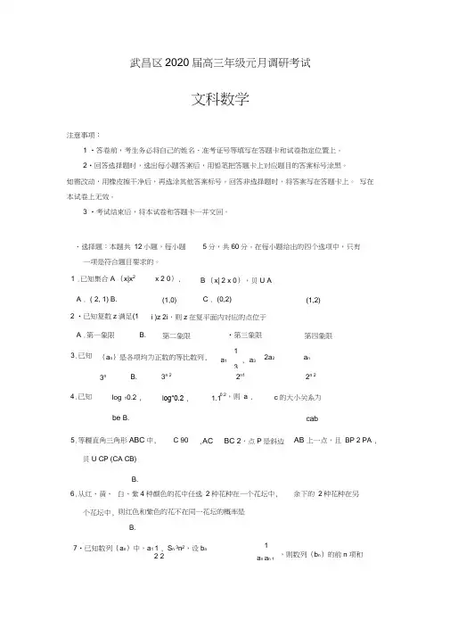 湖北省武汉市武昌区2020届高三元月调研考试数学(文)试题Word版含答案