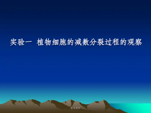 实验一植物细胞减数分裂过程的观察