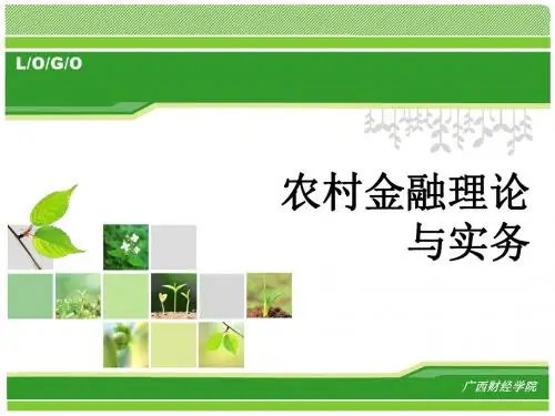 第3章农村资金流动