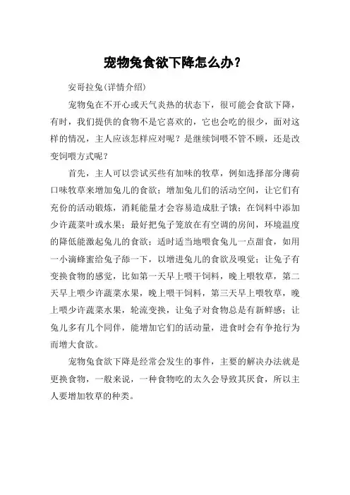 宠物兔食欲下降怎么办？