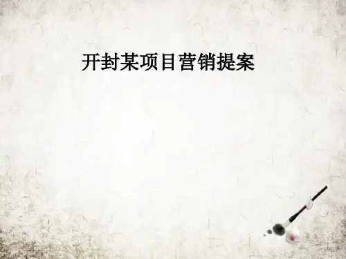 开封某项目营销提案