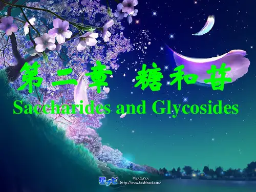 第二章 糖和苷(改)