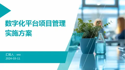 数字化平台项目管理实施方案