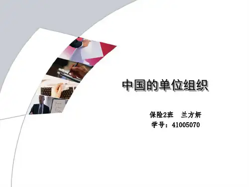 中国的单位组织