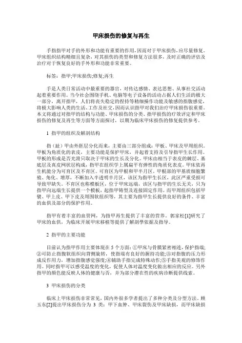 甲床损伤的修复与再生