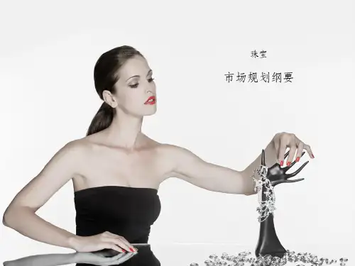 2012某珠宝品牌市场规划纲要
