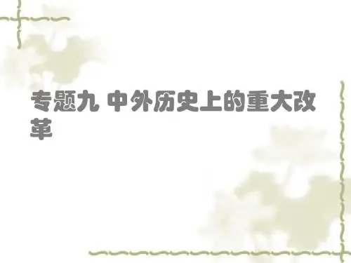 广东省中山市人教版2016年初中历史中专题复习课件专题九 中外历史上的重大改革.ppt