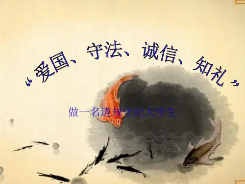 爱国、守法、诚信、知礼_做一名遵规守纪大学生