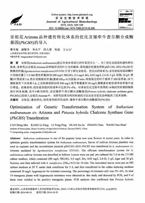 安祖花Arizona品种遗传转化体系的优化及矮牵牛查尔酮合成酶基因(Ph