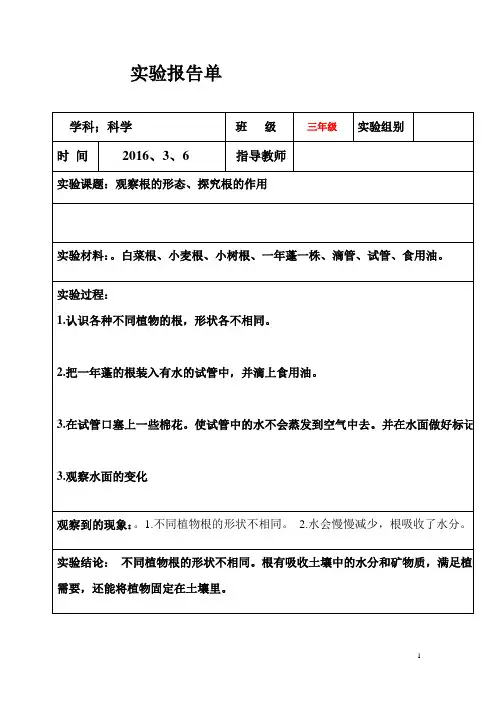 教科版三年级下册科学实验报告单