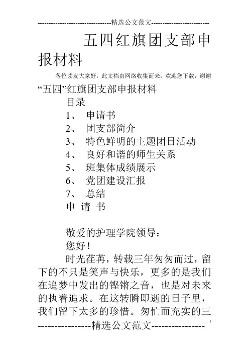 五四红旗团支部申报材料 2