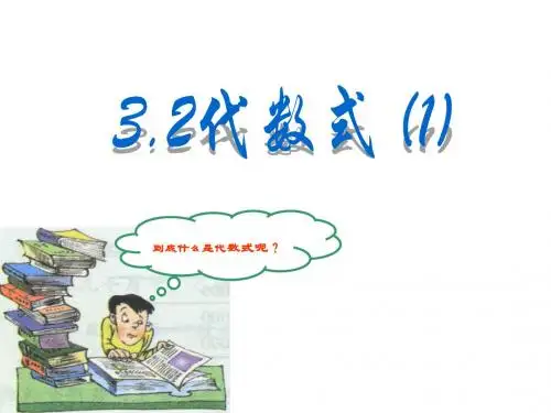 3.2代数式(1)