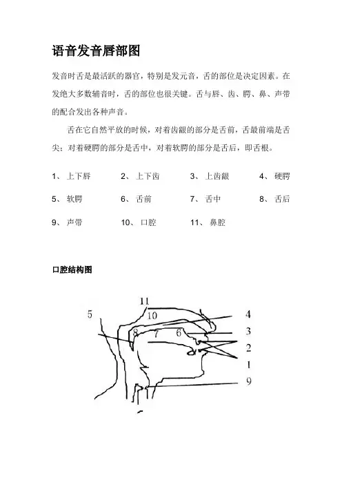 英语语音发音唇部图