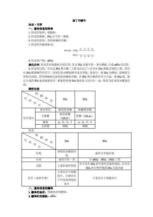 人教课标版高中生物必修2第4章《基因指导蛋白质的合成》教材梳理