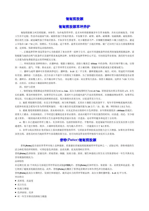匍匐剪股颖