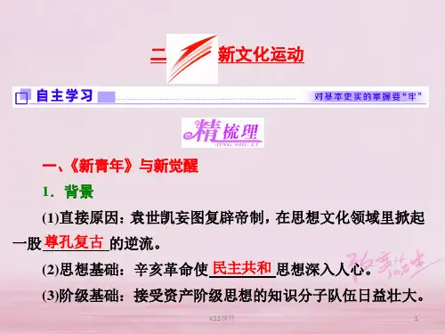 高中历史 专题三 近代中国思想解放的潮流 二 新文化运动课件 人民版必修3