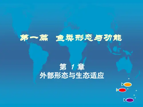第一篇 第一章 鱼类的外部形态