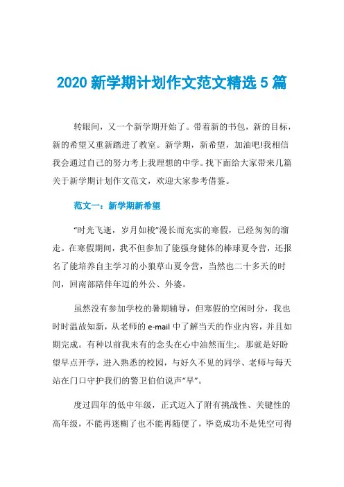 2020新学期计划作文范文精选5篇