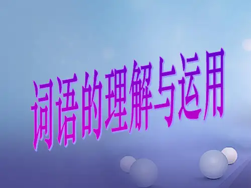 中考语文词语的理解与运用复习课件
