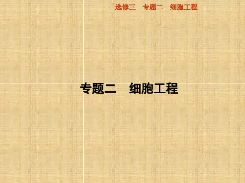 【金版教程】高考生物一轮复习 2 细胞工程名师课件 新人教版选修3