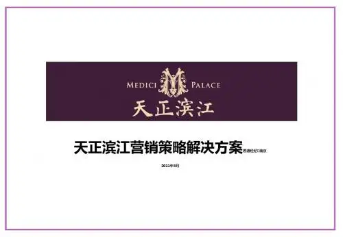 思源经纪_南京天正滨江商业中心项目营销策略解决方案_121p_2011年