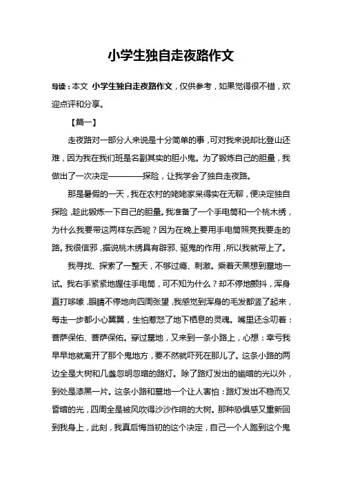 小学生独自走夜路作文