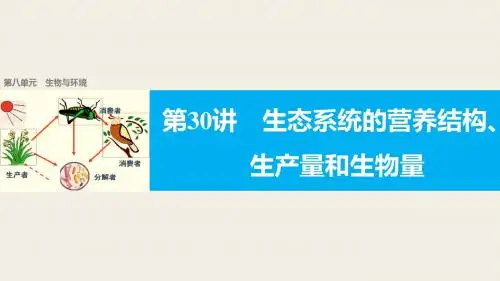 【新步步高】2018版浙江高考生物《选考总复习》课件第8单元第30讲生态系统的营养结构、生产量和生物量
