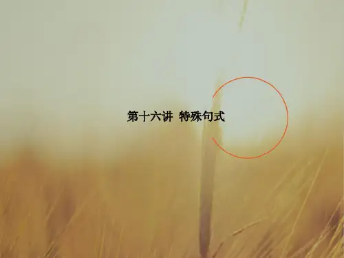 2018版高考英语一轮复习课件：语法：第十六讲 特殊句式 精品