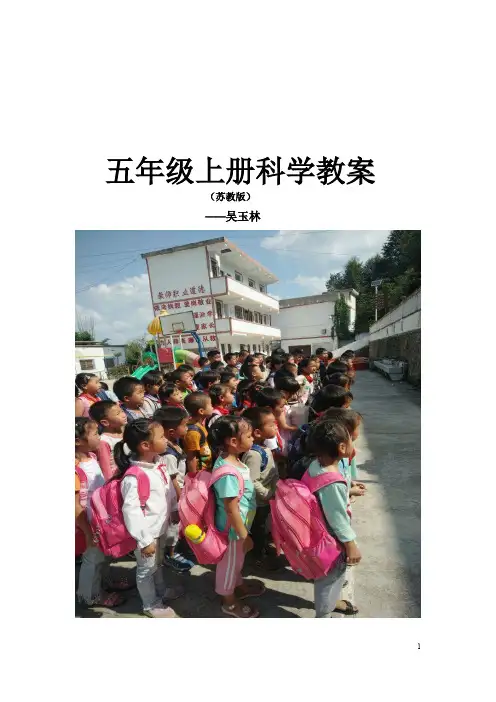 苏教版小学五年级科学上册教案 全册