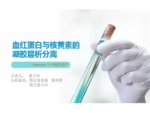 血红蛋白与核黄素的凝胶层析分离