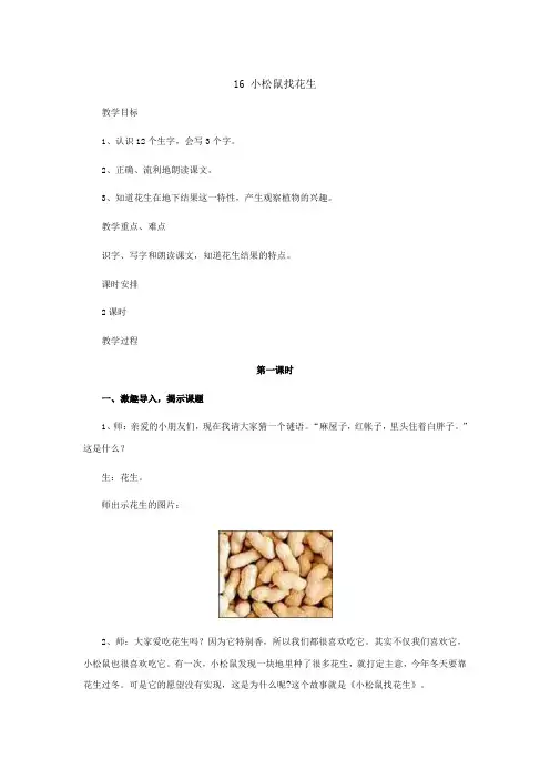 16 小松鼠找花生
