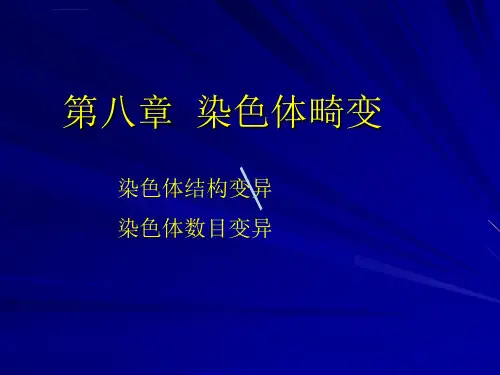 染色体畸变的遗传分析染色体结构变异课件