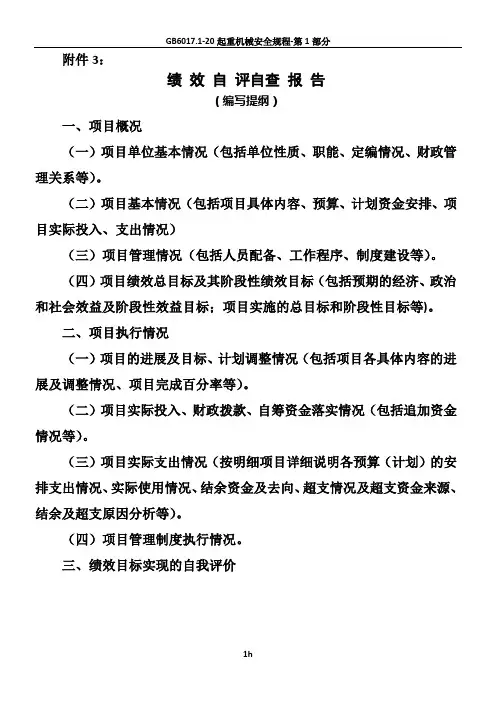 绩效自评自查报告(编写提纲)