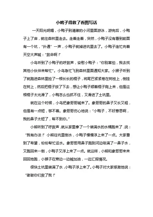 二年级作文：小鸭子得救了看图写话500字