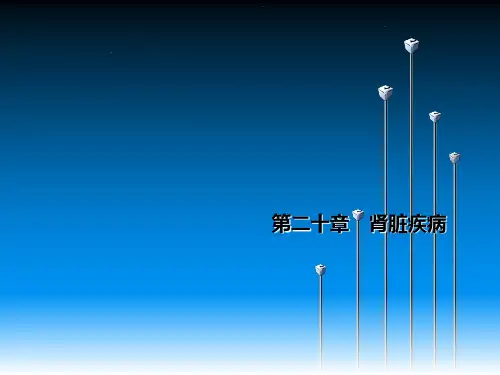 肾脏疾病.ppt